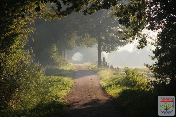 Bürgerpark, Foto: Ralf Appelt